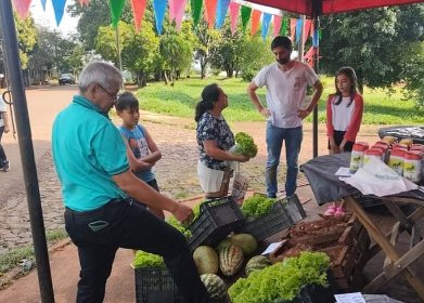 mercado concentrador mercado en tu barrio