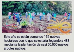 ¡Reforestación  para salvar al Yagureté!